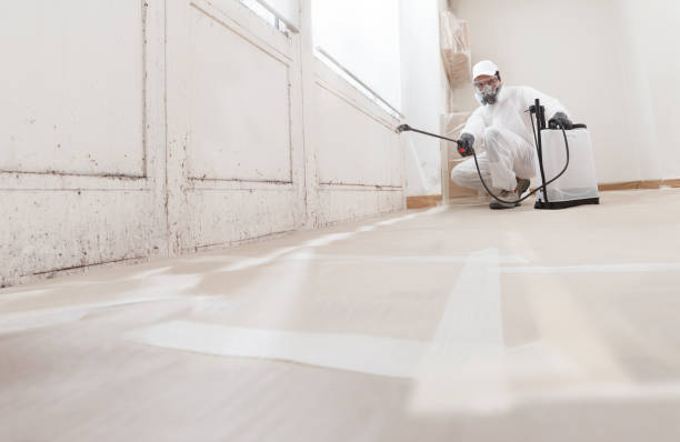 Trusted Mold Inspection service in Petersburg, VA - WQB Mold Removal