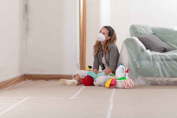 Reliable Mold Inspection contractor in Petersburg, VA by WQB Mold Removal